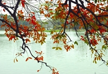 HÀ NỘI THU